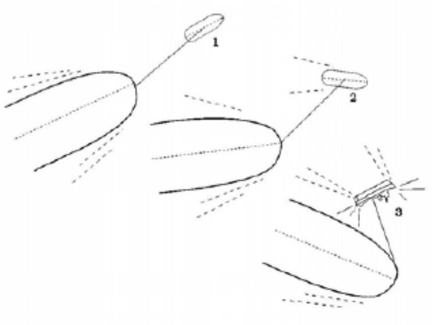 Synthetic Rope Diagram