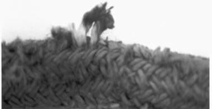 Pulled Strand in Worn Double Braid