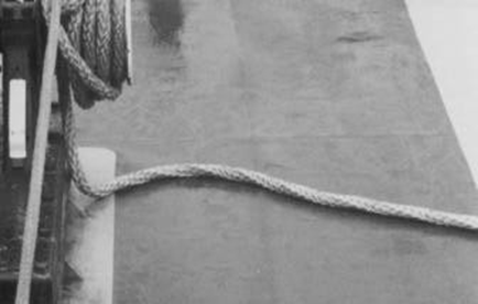 Twist in 12-Strand Braid