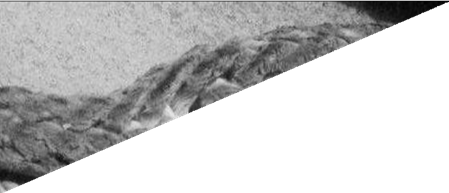 Inter-Strand Abrasion