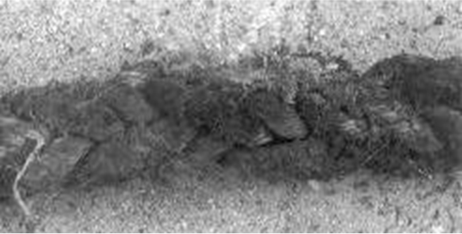 Uniform Surface Abrasion